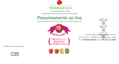 Desktop Screenshot of fiorentinadisopra.it