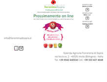 Tablet Screenshot of fiorentinadisopra.it